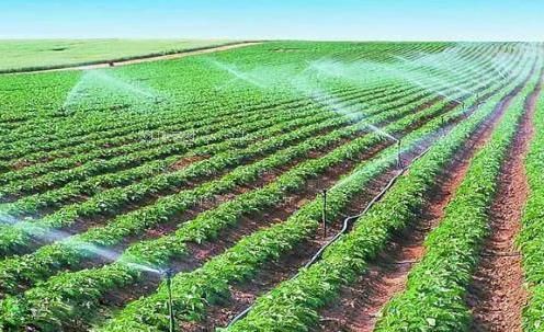 尻b视频农田高 效节水灌溉